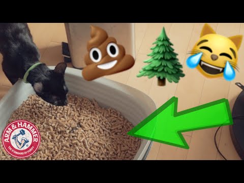 How To Use Arm and Hammer Sifting Litter Box with Pine Pellets