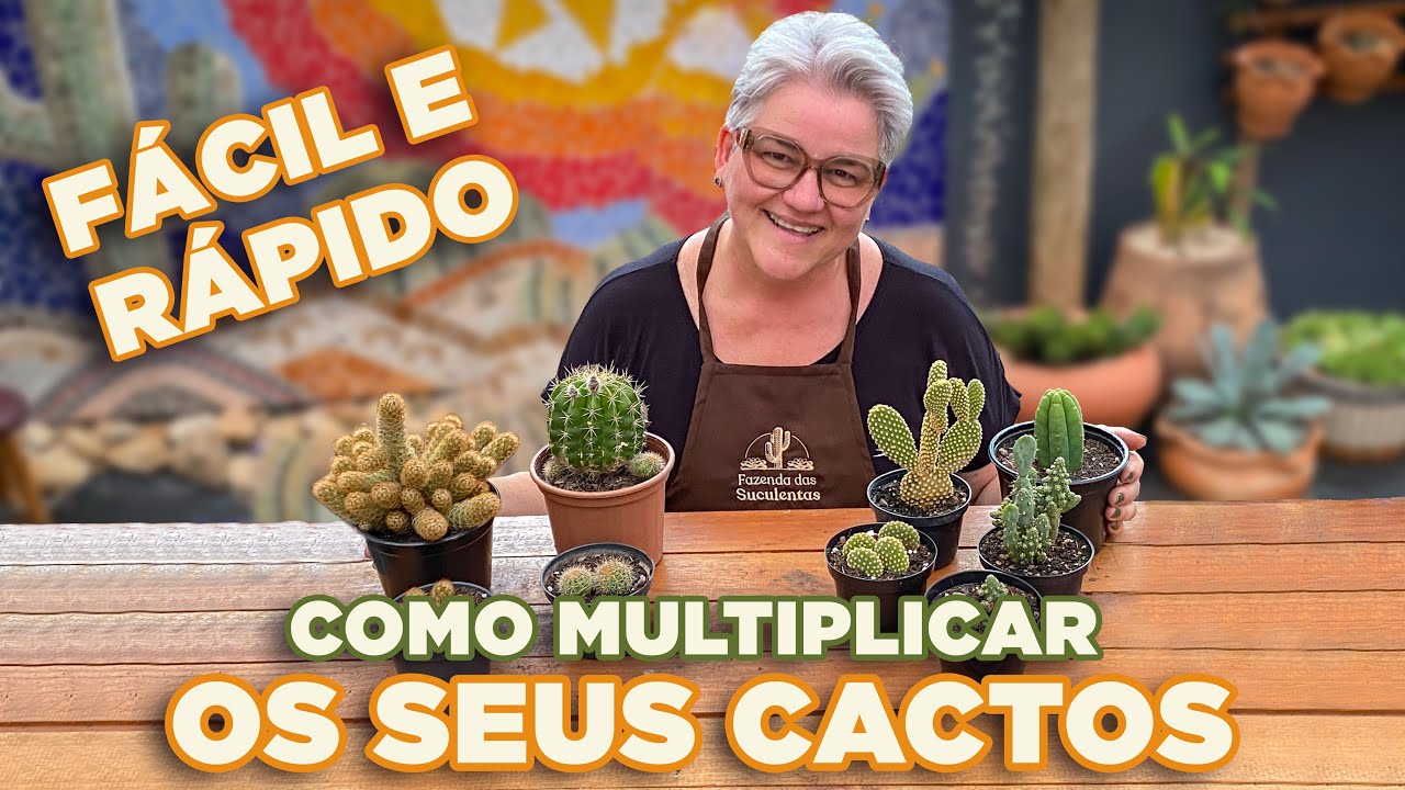COMO REPRODUZIR os seus cactos de maneira FÁCIL E RÁPIDA  Tenha um jardim de cactos! 🌵