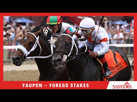 Yaupon - 2021 - The Forego