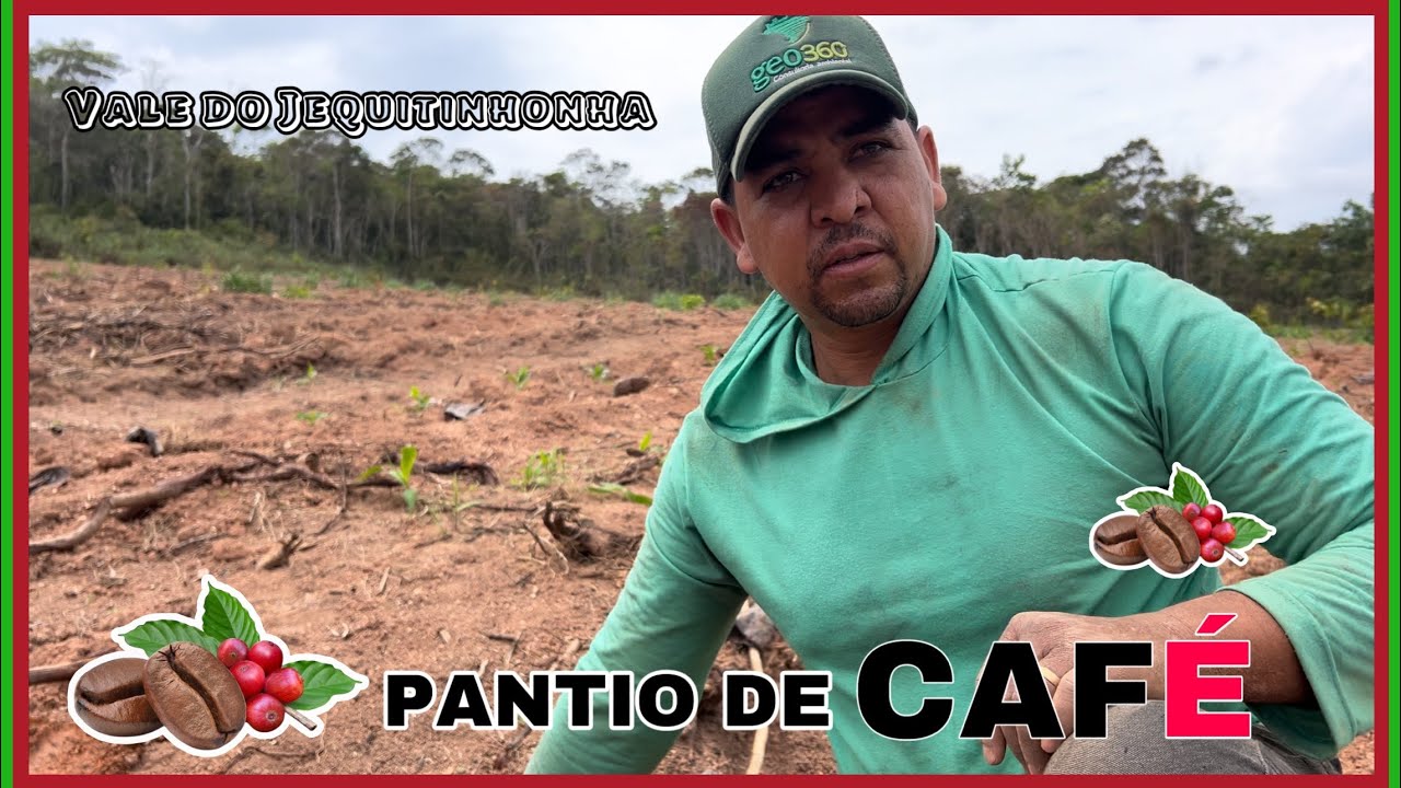Plantio de café passo á passo na chapada de Minas Gerais  #café  #capelinha         #agropecuaria