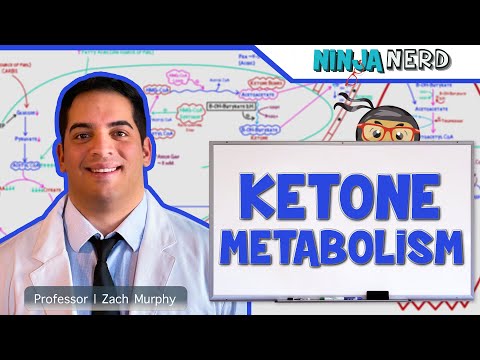 Metabolism | Ketone Metabolism