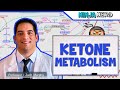 Ketone Metabolism Explained: Ketogenesis, Ketone Bodies & Energy