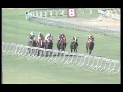 Best Of The Best Cape Flying 1000 Milnerton