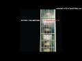 Peter frampton - my cup of tea (Instrumental)