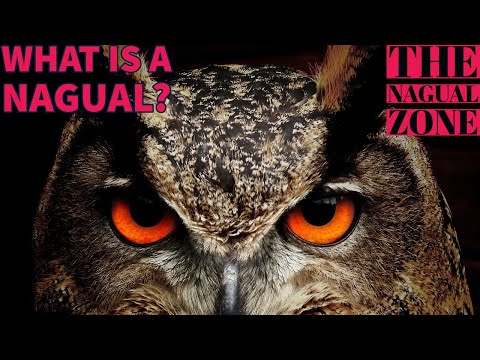 What is a Nagual? - The Nagual Zone| Carlos Castaneda| Don Juan Matus