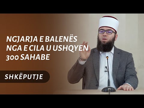 Ngjarja e balenës nga e cila u ushqyen 300 sahabe, një muaj të plotë!