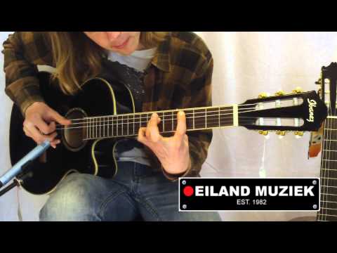 Ibanez AEG10NE image 13