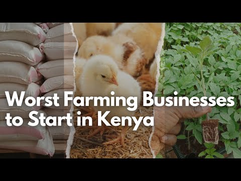 Facts of Hass Avocado Market Kenyan chapter