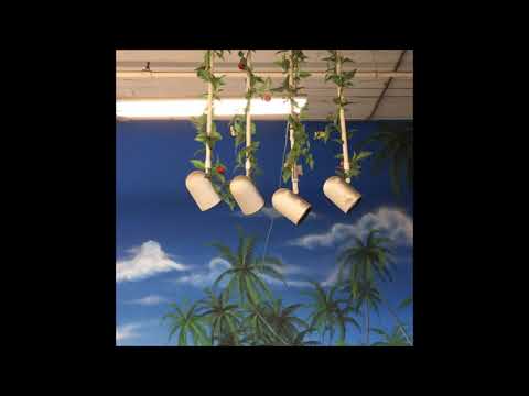 11. cyberlust - paradise [21.03.2015]