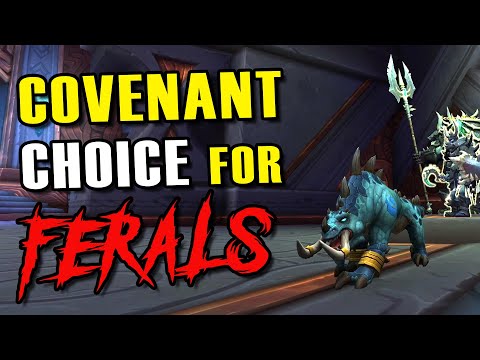 Which Covenant is BEST for your Feral Druid?