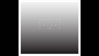 Kangding Ray - Son