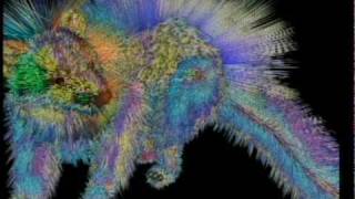Fire Beast  / Computer Animation  (1991)