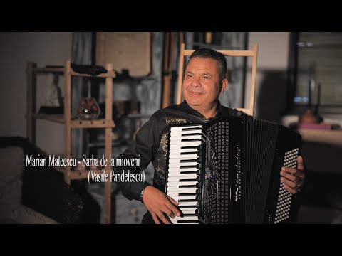 Marian Mateescu   Sarba de la Mioveni Vasile Pandelescu