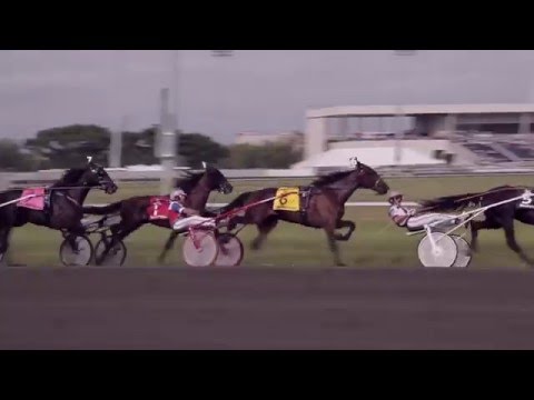 The Inaugural #ElitloppPlayoff at The Meadowlands
