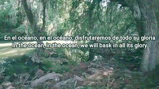 Long Breakdown - Oingo Boingo (Sub Español)