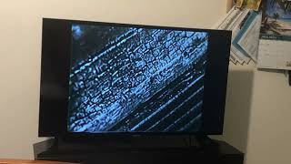 Sesame Street - Look a little closer (Tire, take 2)￼