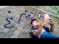 Funniest Memes You Missed This Week Try Not To Laugh Challenge 2025 PART 1