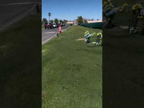 Tesla Can See Ghosts In Graveyard