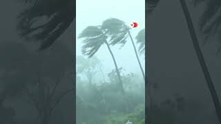 Download lagu Super Typhoon #Yagi hits #China mp3 Download lagu Super Typhoon #Yagi hits #China mp3