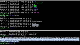 Linux - Loginless 1 : ssh public private key
