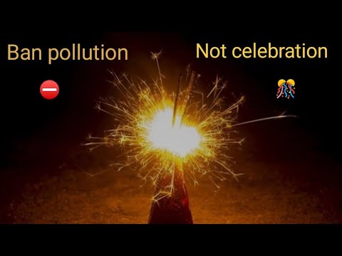 Vikram Singh Cracker Ban