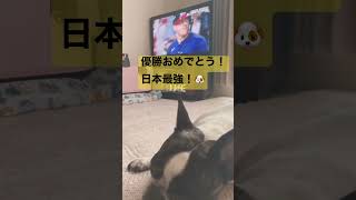 WBC優勝しても全然興味なし😅 #shorts
