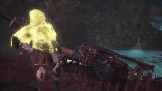MHW アステラ祭 お手伝い係
