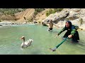 Tuba Or Alborz Who Was Right The Story Of The Duck In The Raging River