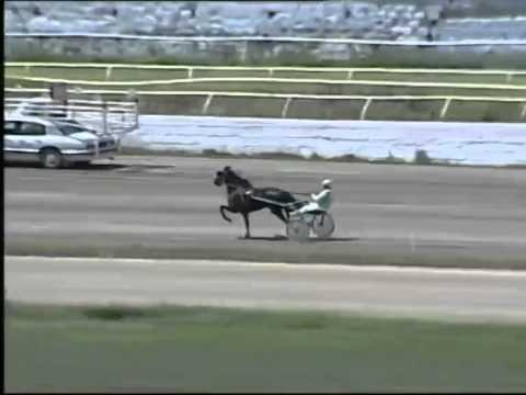 Trotto 01/06/2014 - 2° prova di qualifica