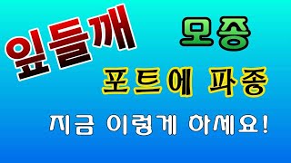 [텃밭농부.962]  잎들깨 씨앗을 육묘상자에 파종하는 방법 #들깨재배
