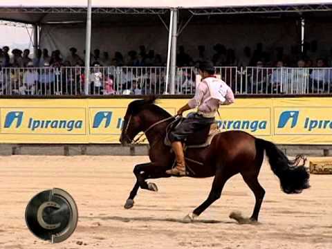 Conheça as mudanças no sistema de Classificatórias ao Freio de Ouro 2016!