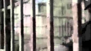 Me dejo la piel  - Porta