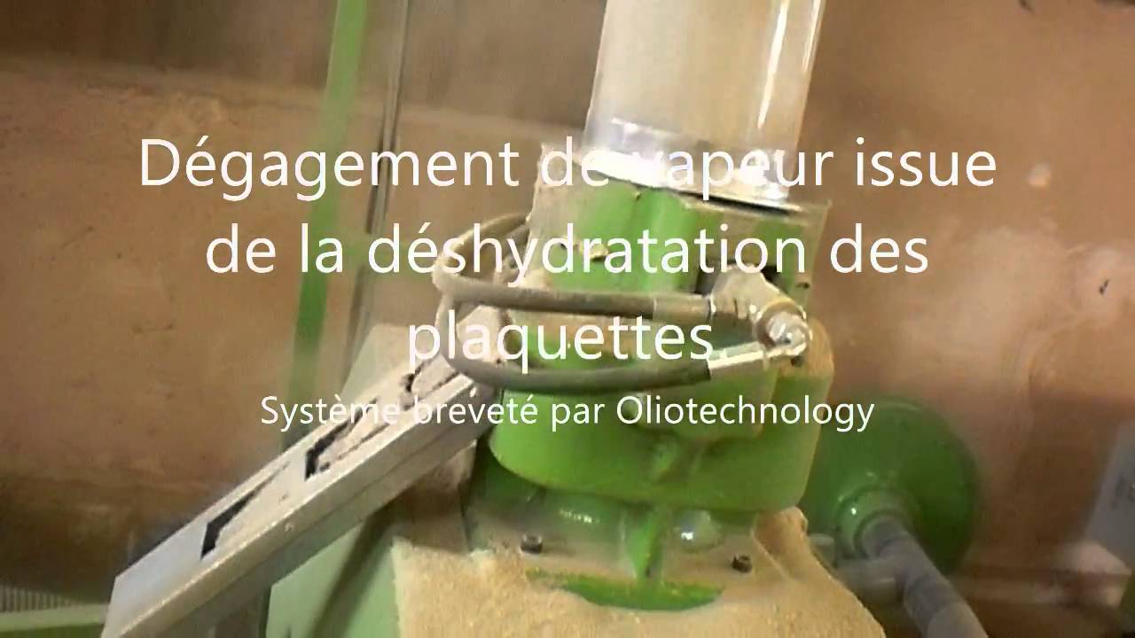 OLIOTECHNOLOGY. Conversion de plaquettes de bois en granulés Din plus
