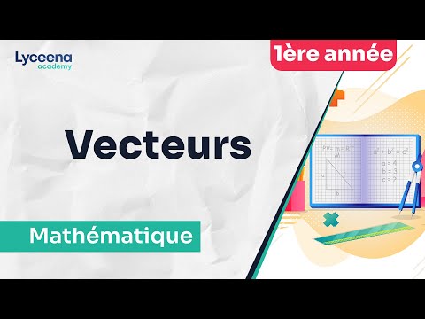 Comprendre la notion des vecteurs et translation