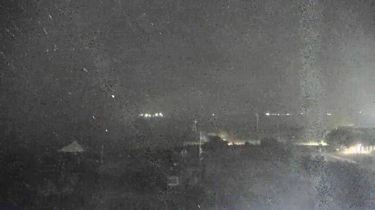 Dauphin Island Sea Lab LIVE Camera