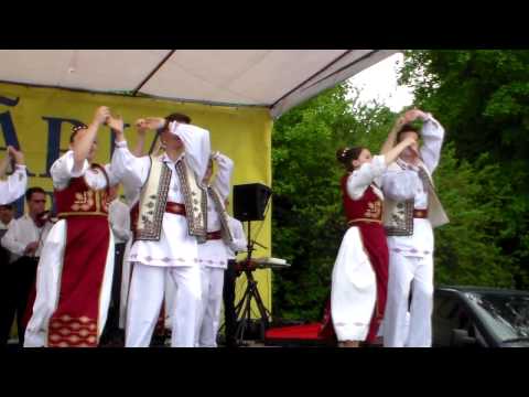 Ansamblul Folcloric „Românaşul” din Zădăreni la trei ani de existență 1