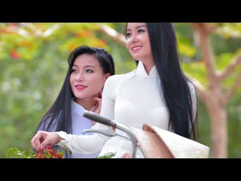 Vào Hạ  _ Tam Ca Áo Trắng