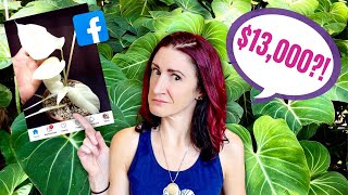Unbelievable Planty Facebook Craziness | HouseplanTEA Ranty Ep. 4