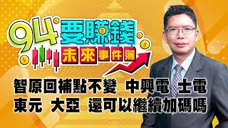 智原回補點不變 中興電 士電 東元