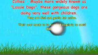 Top Ten Dog Breeds For Children