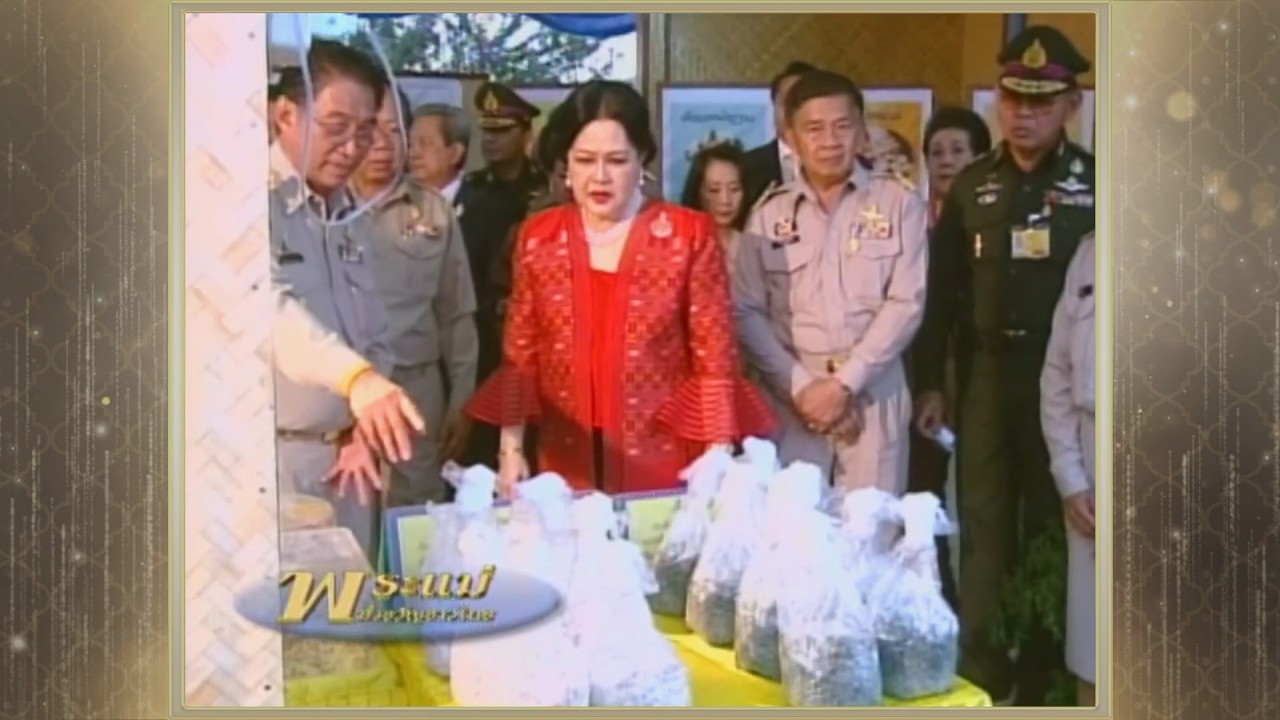 สารคดีพิเศษ พระพันปีหลวง ในดวงใจ ตอนที่ 219