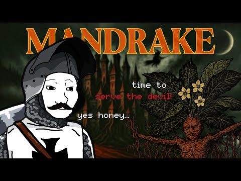 The Devil's Root | Mandrake