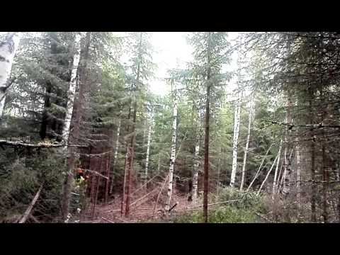 Curături în suedia 2016😉