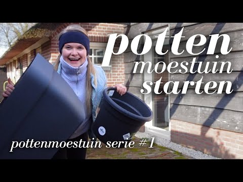 Hoe beginnen, welke potten én 2025 tuinplan: moestuin in POTTEN starten | moestuinieren in potten #1