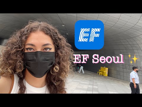 🍇EF SEOUL // EXPERIENCE & REVIEW