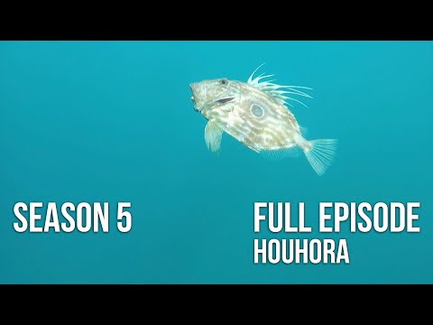 Fishing & Adventure Season 5 EP11 - Houhora