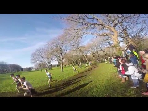 Championnat de Bretagne de Cross 2016 - Cadets