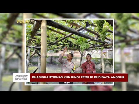 PRESISI UPDATE: BHABINKAMTIBMAS DESA BAGIK PAPAN KUNJUNGI PEMILIK BUDIDAYA ANGGUR 27/01/2025 18.00