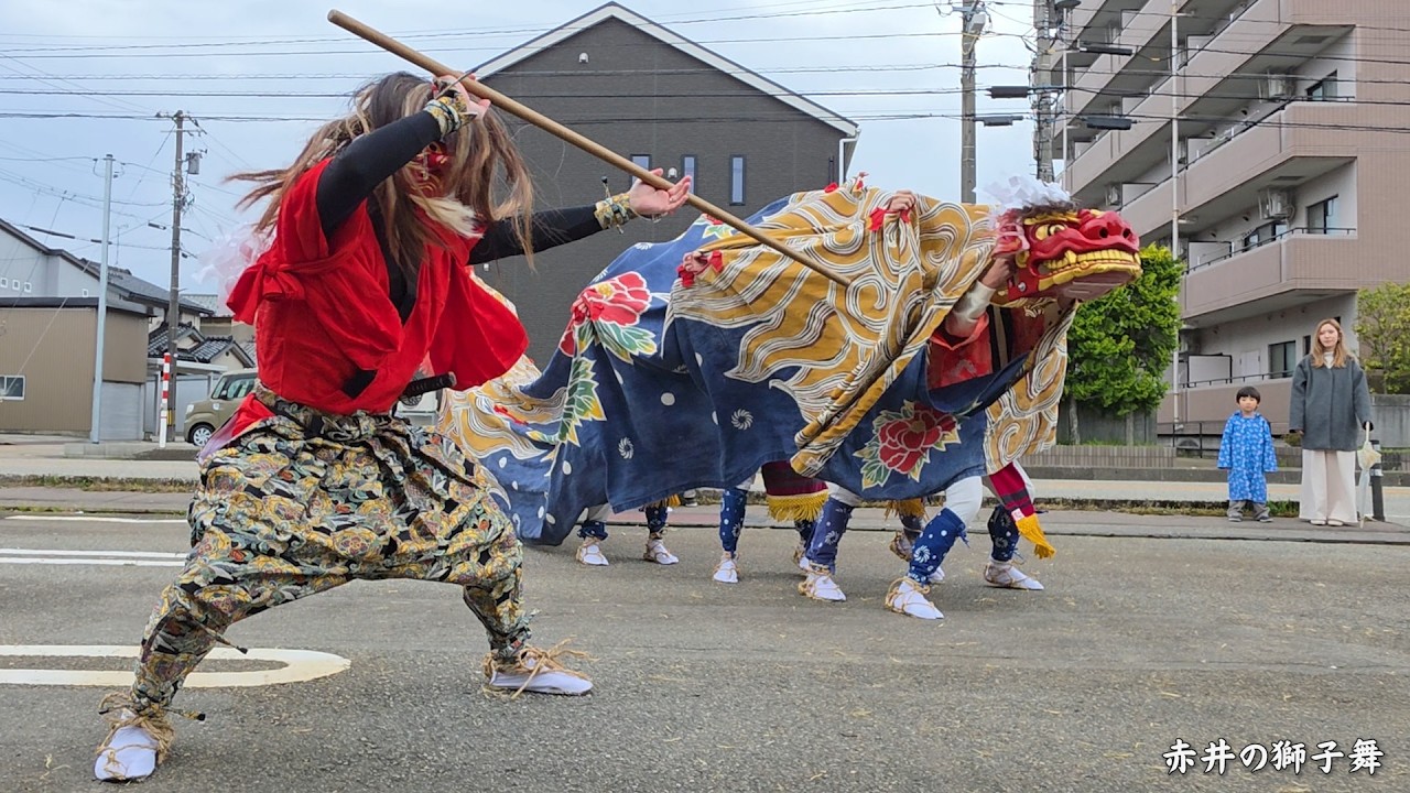 赤井の親子獅子舞 2026年 ながさきクリニック / 富山県射水市赤井