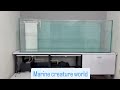 Marine Creature World 7ft Aquarium Project